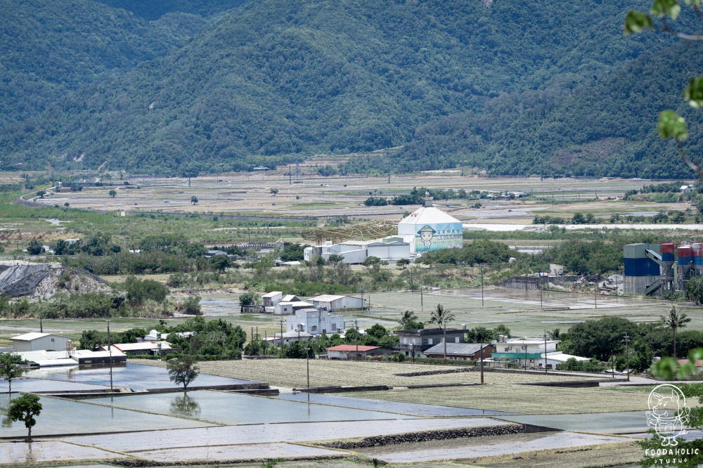 2024縱谷大地藝術季漂鳥197《 白色飛翔》