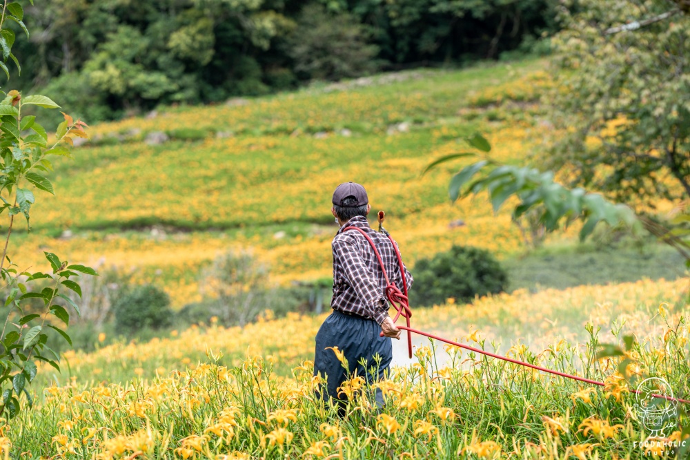 花蓮玉里赤科山景點黎明農園