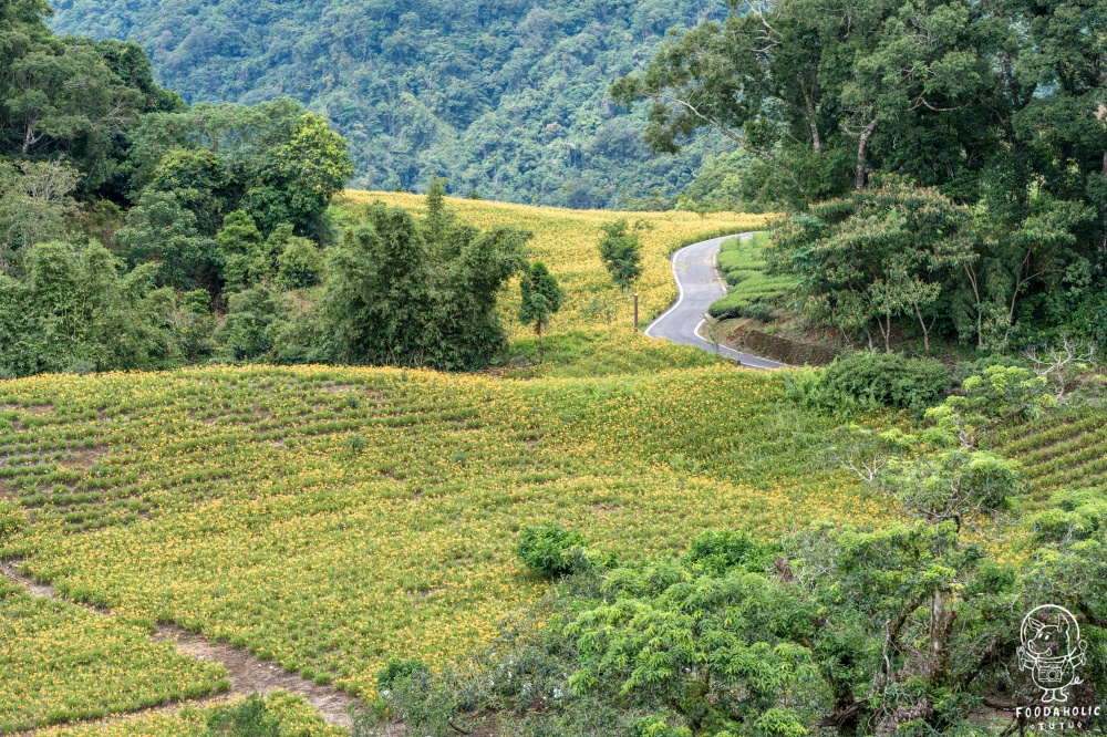 花蓮玉里赤科山景點千噸石龜