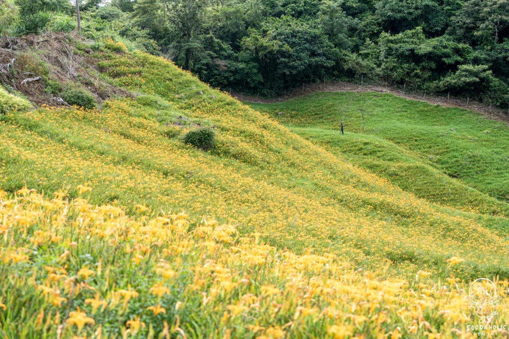 花蓮玉里赤科山景點千噸石龜