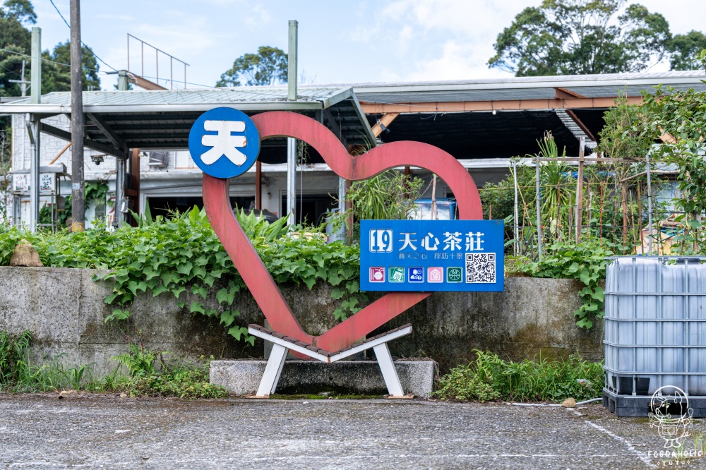 花蓮玉里赤科山景點天心茶園