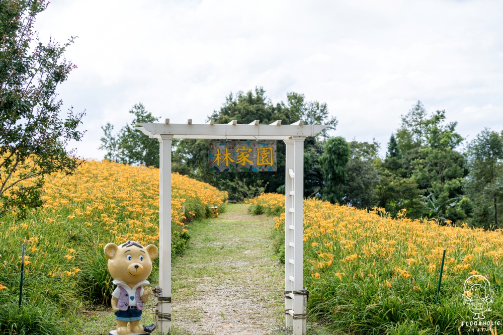 花蓮赤科山林家園園區環境